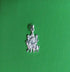 Pure Silver Durga Mata Locket 2 grams
