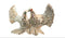 Love Birds White Metal - 400gms