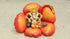 Flower Ganesh Poly Stone