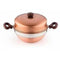 Idly Stand with Copper Kadai- 2 Layered
