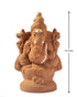 Seed Ganapathy 13" inch