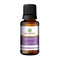 Korus Essential Patchouli Essential Oil | Therapeutic Grade