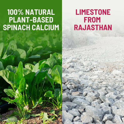 Gynoveda Spinach Calcium Drops