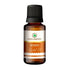 Korus Essential Myrrh Essential Oil | Therapeutic Grade