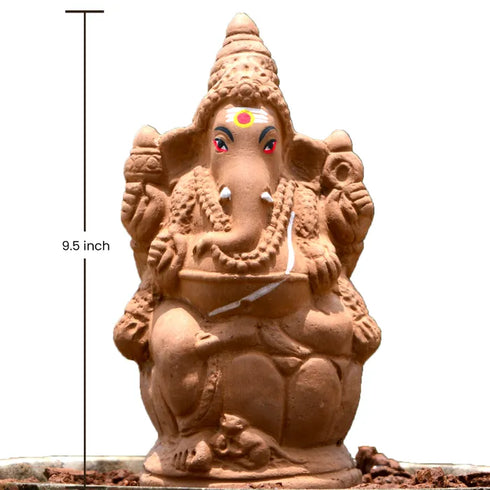 Seed Ganapathy 9.5" inches