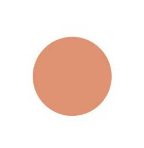 Innisfree My Foundation 1.5 W33 Chestnut