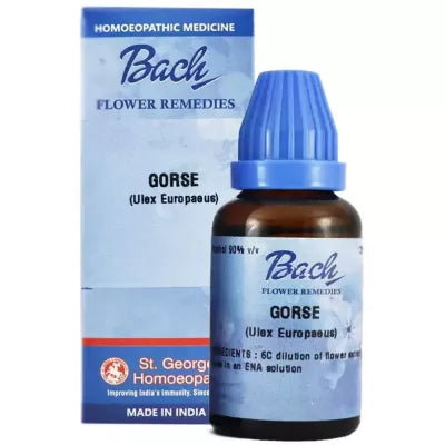 St. George’s Bach Flower Gorse 6 CH