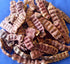 Herbs And Corps Shikakai Pods Dried 454gm
