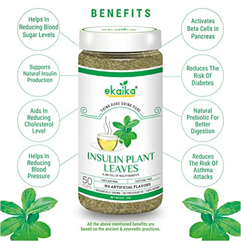 Ekaika Insulin Plant Leaves Tea 50g