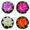 Artificial Plastic Floating Light Pink Lotus and Decorative Flowers Set of 4