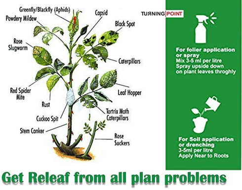 Chipku Pure Cold Pressed Water Soluble neem Oil for Spray on Plants and Garden