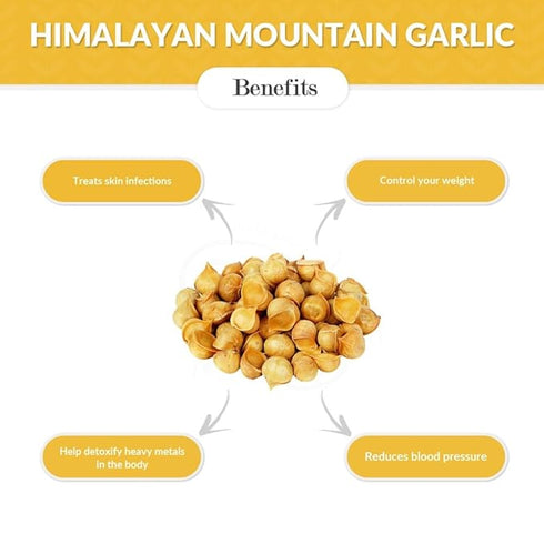 Indiana Himalayan Garlic | Kashmiri Lehsun