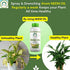 ATOM AGROTECH Organic Cold Pressed PURE NEEM OIL