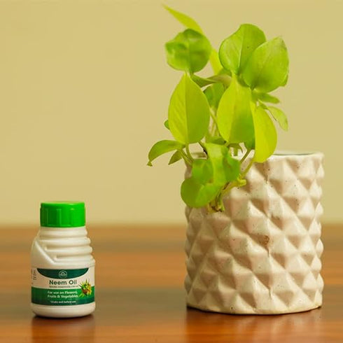 TrustBasket neem Oil for Plants 100ml