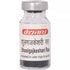 Baidyanath Shoolgajkesari Ras 5g