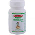 Baidyanath Arshoghani Bati 40Tablet