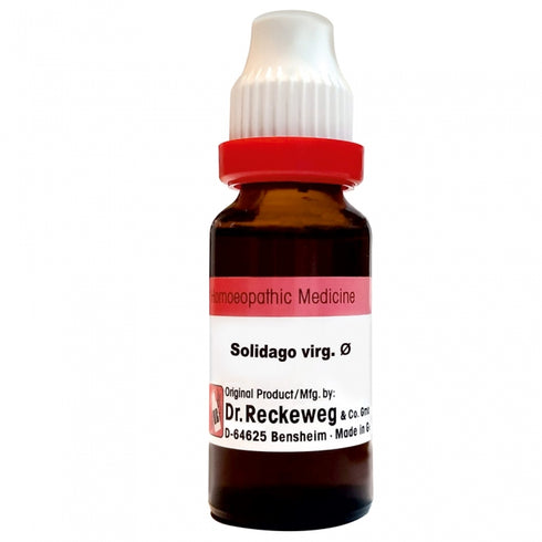 Dr. Reckeweg Solidago Vir Mother Tincture Q
