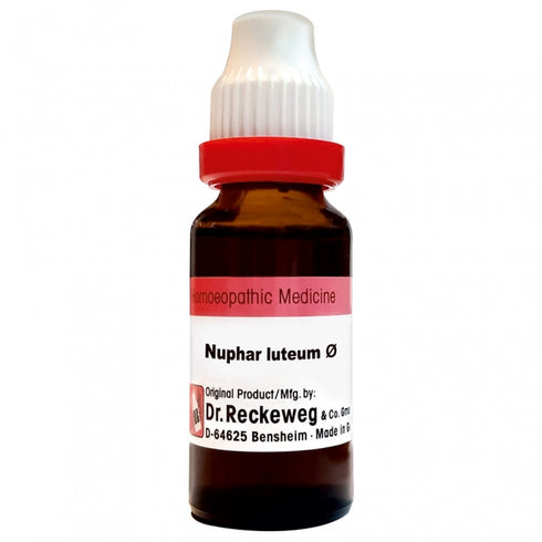 Dr. Reckeweg Nuphar Lutea Mother Tincture Q