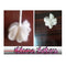 Kamalam vattulu - small - - Pack of 5 - E Pooja store