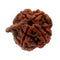 Ganesha Rudraksha