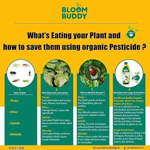 BLOOMBUDDY Organic Neem Oil Based Eco Friendly Highly Effective Pesticide and Insecticide for Plants 50ml