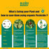 BLOOMBUDDY Organic Neem Oil Based Eco Friendly Highly Effective Pesticide and Insecticide for Plants 50ml