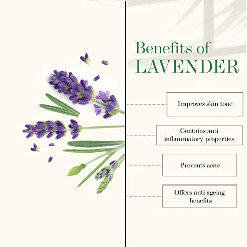Good Vibes Lavender Softening Body Lotion
