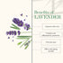 Good Vibes Lavender Softening Body Lotion