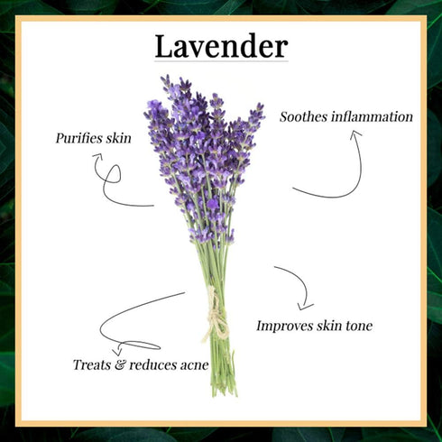 Good Vibes Lavender Soothing Handmade Soap Bar