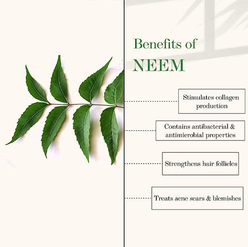 Good Vibes Blackseed And Neem Cold Pressed Oil For Hair & Skin 100ml