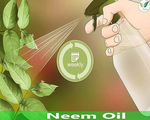 Iagrifarm Cold Pressed Water Soluble Neem Oil 5 Liter