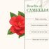 Good Vibes 100% Natural Camellia Deep Moisturizing Facial Oil 10ml