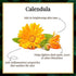 Good Vibes Brightening Calendula S Zone Mask 50g