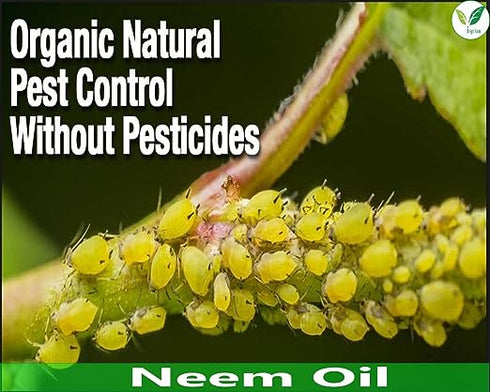 Iagrifarm Cold Pressed Water Soluble Neem Oil 5 Liter