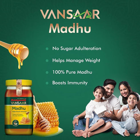 Baidyanath Vansaar Honey (Madhu) 550g