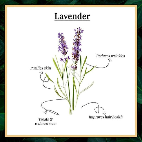 Good Vibes Nourishing Foot Scrub - Lavender 50g