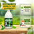 Home Secure Neem Veda Pure Cold Pressed Water Soluble Neem Oil