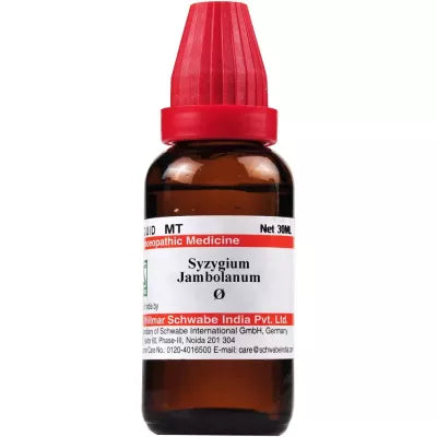 Dr Willmar Schwabe India Syzygium Jambolanum Mother Tincture