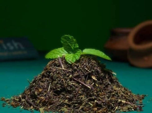 Adrish Organic Dried Tulsi Leaves