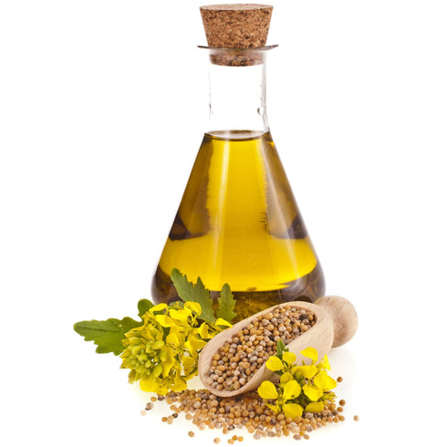 Prakruthi Cold Pressed Yellow Mustard Oil