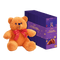 Cadbury Valentines 7 Day Chocolate Gift pack with Teddy