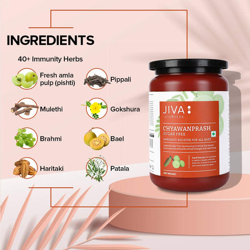 Jiva Ayurveda Chyawanprash Sugar Free