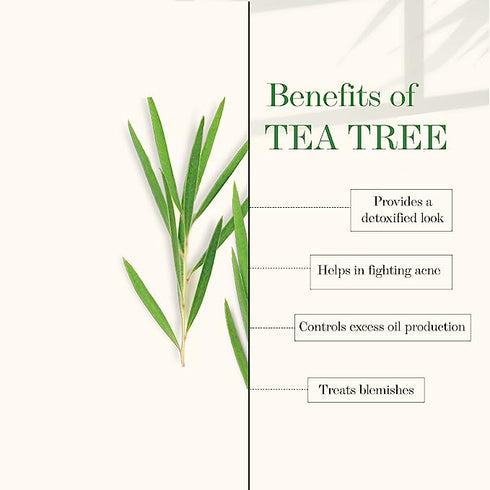 Good Vibes Blackhead Removal + Anti-Ageing Face Wash - Tea Tree Oil + Holy Basil