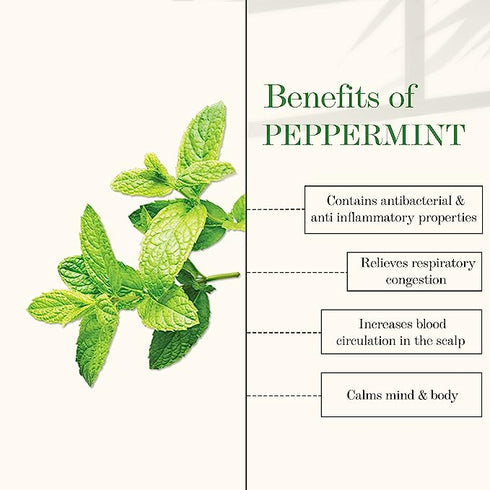 Good Vibes Peppermint 100% Pure Essential Oil