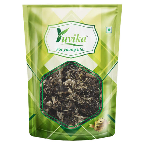 Yuvika Chadila Pattar Phool Permalia Perlata