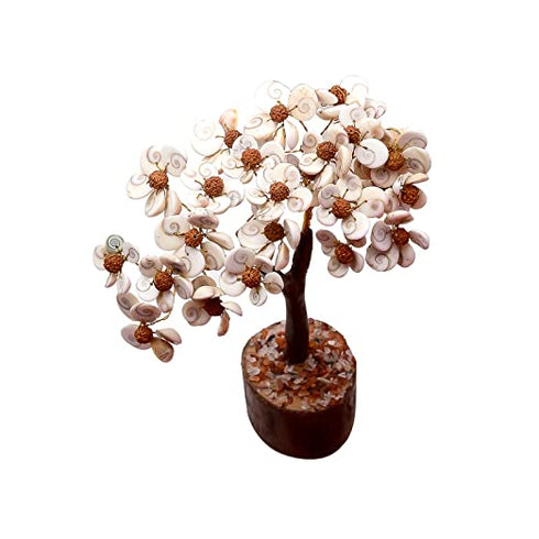 Gomti Chakra M Seal Tree With Rudraksha