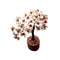 Gomti Chakra M Seal Tree With Rudraksha