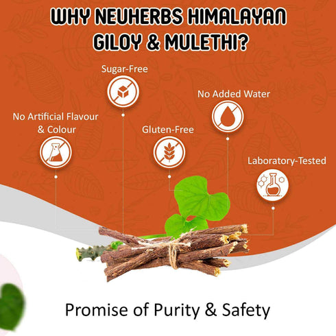 Neuherbs Himalayan Giloy Mulethi Juice 1 L