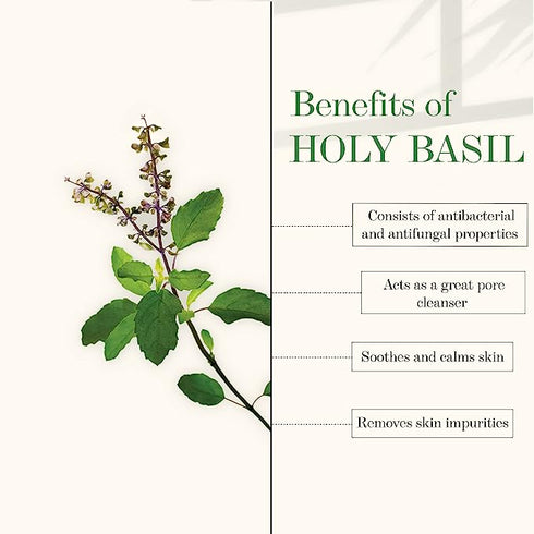 Good Vibes Blackhead Removal + Anti-Ageing Face Wash - Tea Tree Oil + Holy Basil