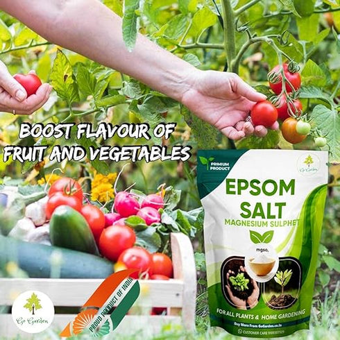 Go Garden 100 ml Water Soluble Neem Oil for Plant Pest Control + 800 Gram Epsom Salt Magnesium Sulphate for Plant Combo
